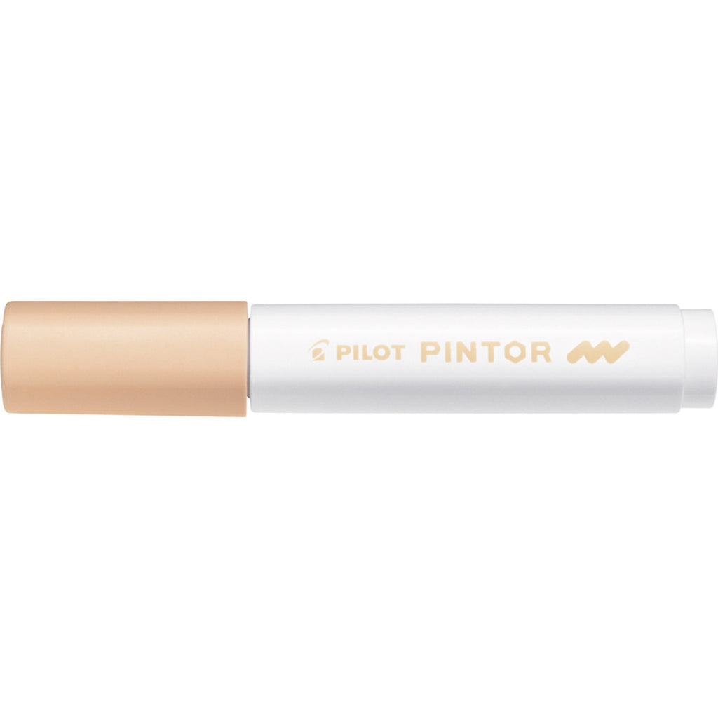 MARKER PILOT PINTOR PASTEL M PESCA