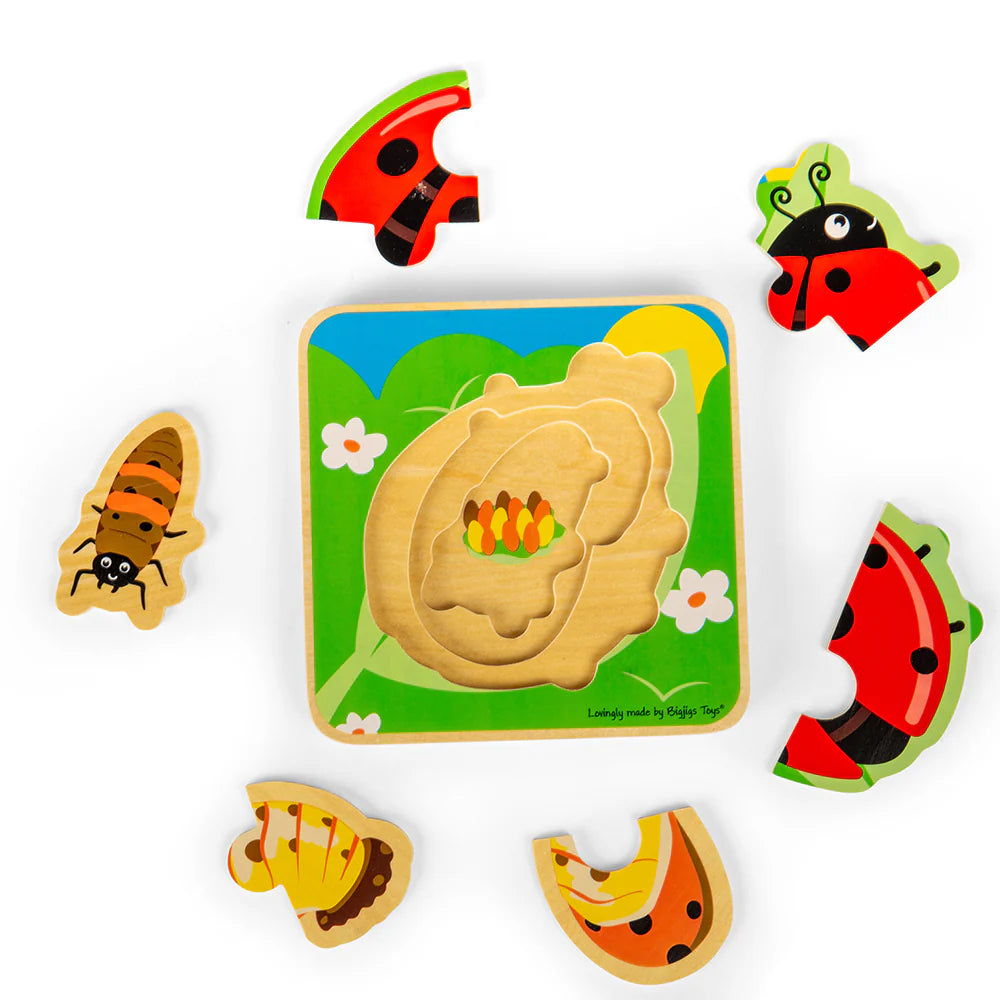 PUZZLE A STRATI CICLO VITALE -COCCINELLA