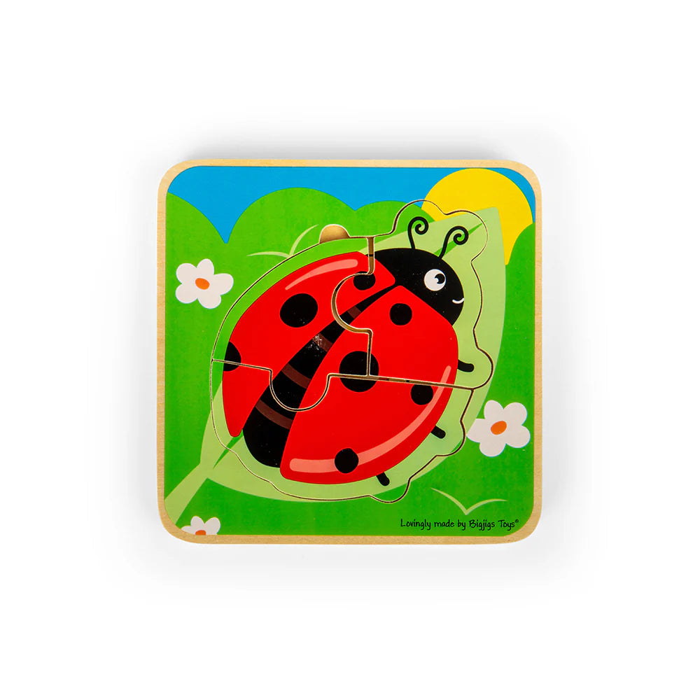 PUZZLE A STRATI CICLO VITALE -COCCINELLA