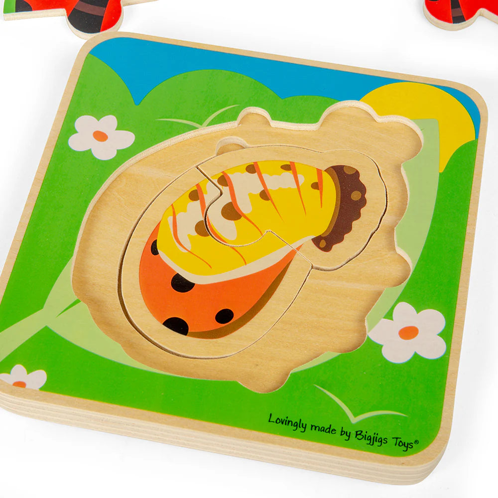 PUZZLE A STRATI CICLO VITALE -COCCINELLA