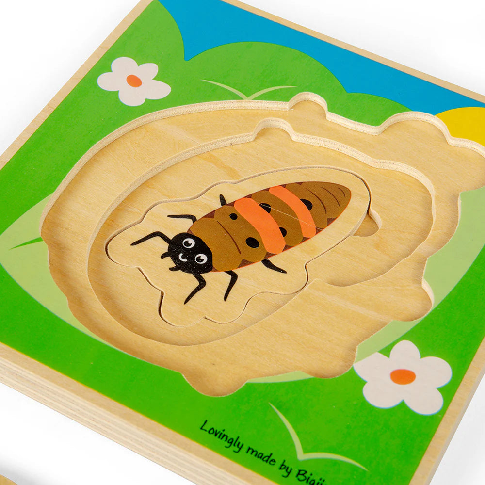 PUZZLE A STRATI CICLO VITALE -COCCINELLA