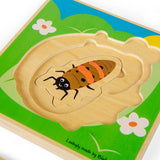 PUZZLE A STRATI CICLO VITALE -COCCINELLA