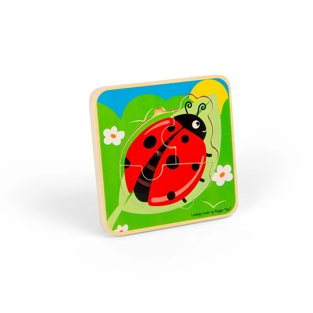 PUZZLE A STRATI CICLO VITALE -COCCINELLA