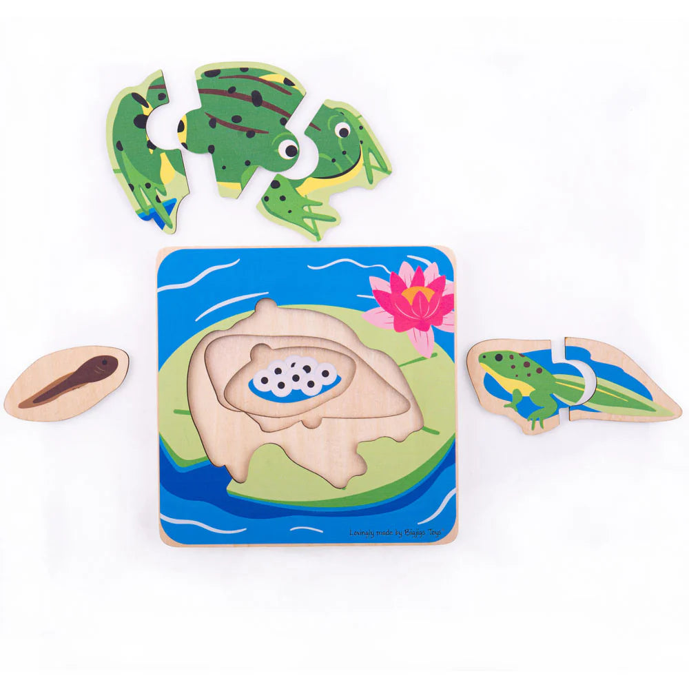 PUZZLE A STRATI CICLO VITALE - RANA