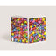 QUADERNO MAXI FG. 28 RIGHE 3 B