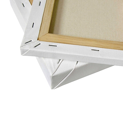 TELAIO PITTURA CLASSIC- CM.20X20