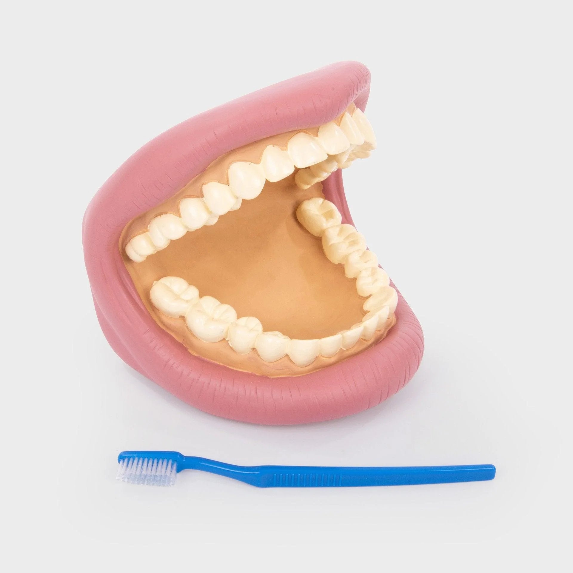 DENTI E SPAZZOLINO