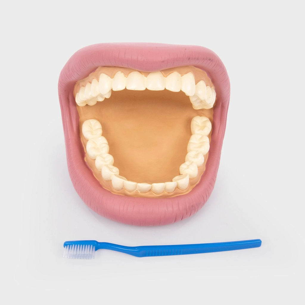 DENTI E SPAZZOLINO