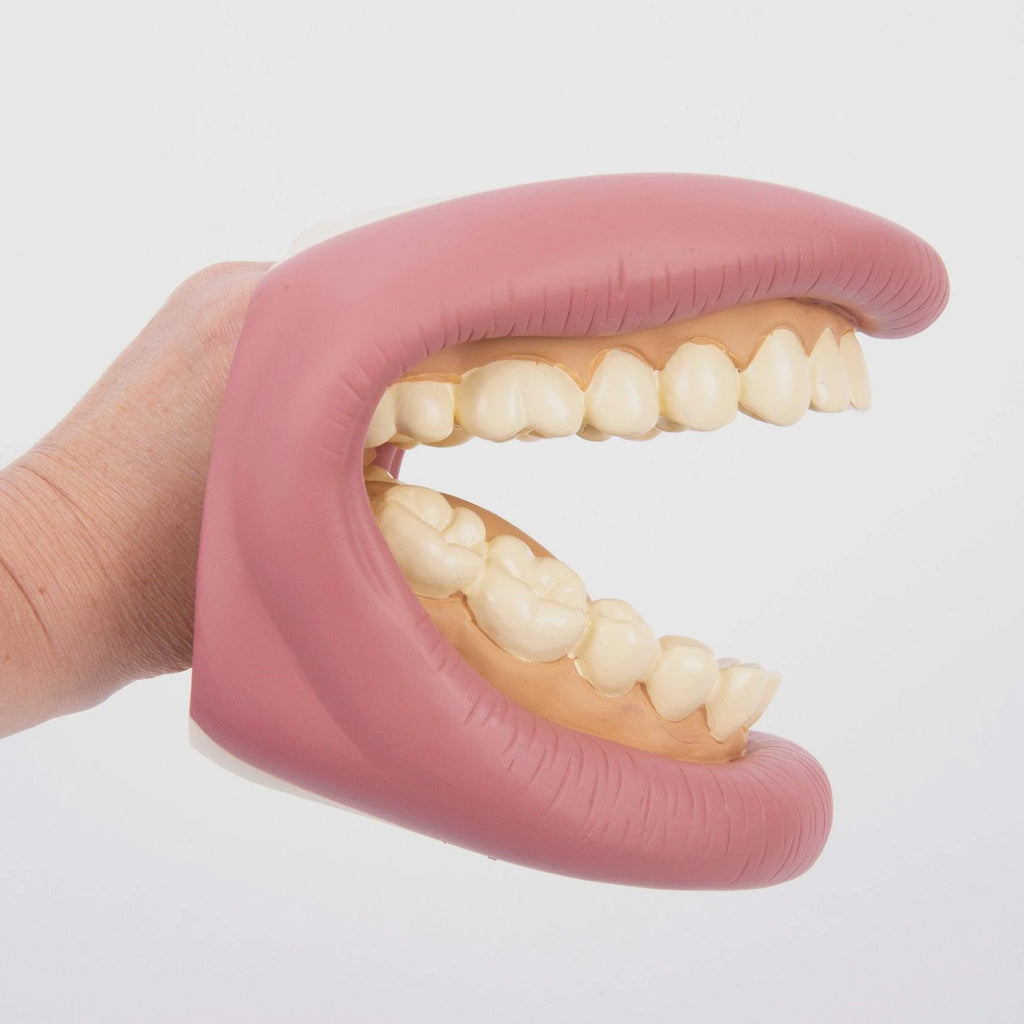 DENTI E SPAZZOLINO