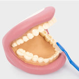 DENTI E SPAZZOLINO