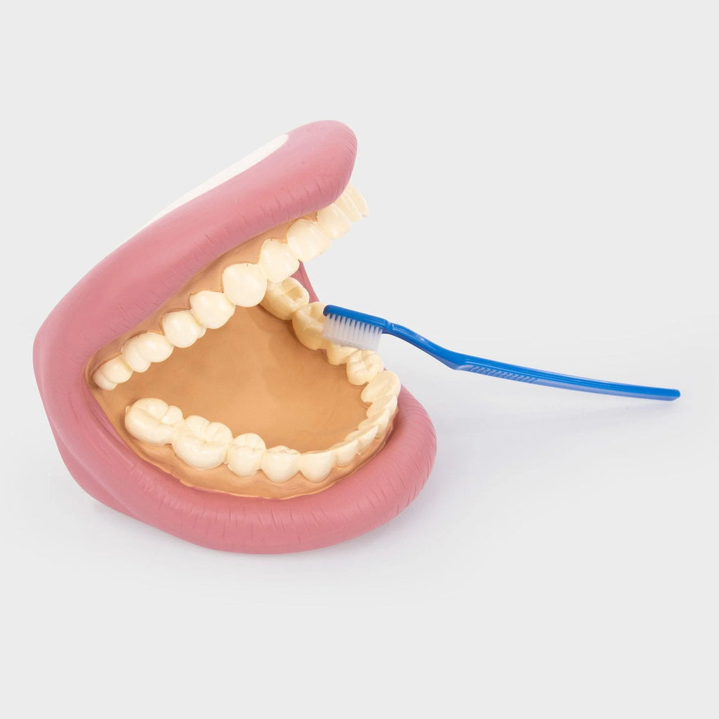 DENTI E SPAZZOLINO