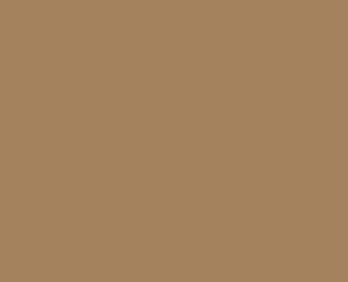 TEKNITAK - CONF.10 FOGLI CM.21X29,7 - MARRONE CHIA
