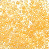 PERLINE VETRO TRASPARENTI 10/0 - SCAT. GR. 30 - PESCA  FLUO