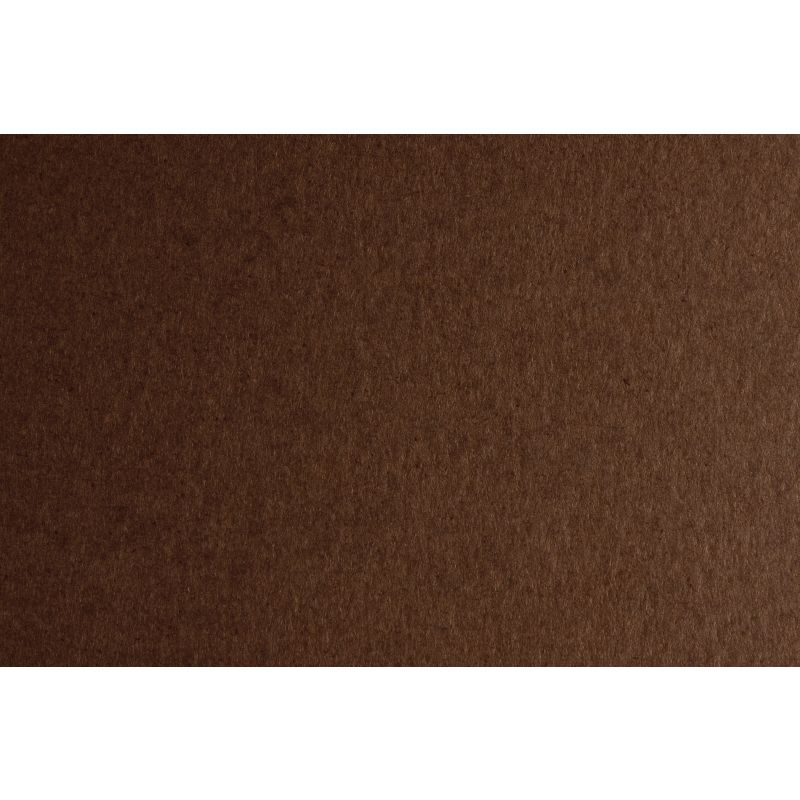 CARTONCINO GR. 220 70X100 MARRONE