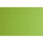 CARTONCINO GR. 220 70X100 V. PISELLO