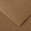 CARTONE ONDULATO DRITTO 50X70 AVANA
