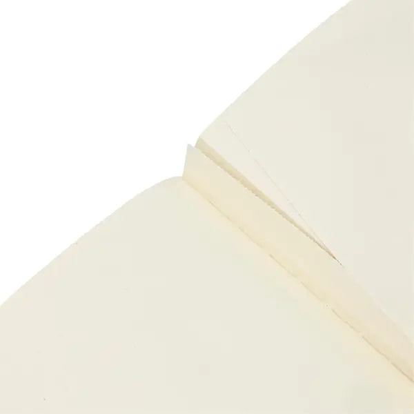 QUADERNO A6 FENICE PAPERBLANKS