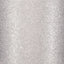 TEMPERA ALL'ACQUA GLITTER FLACONE 250 ML. ARGENTO