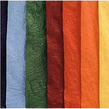 CARTA RISO GR.25 CM.50X70 - BUSTA FG.10 COLORI AS