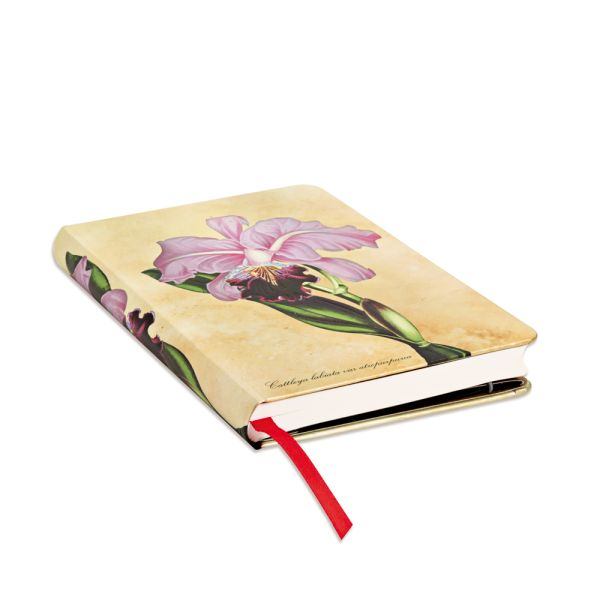 DIARIO NOTES ORCHIDEA BRASILIANA MINI PAPERBLANKS