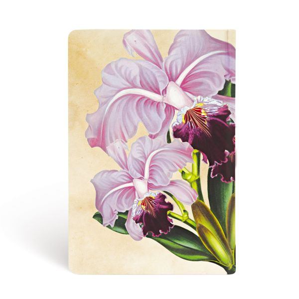 DIARIO NOTES ORCHIDEA BRASILIANA MINI PAPERBLANKS