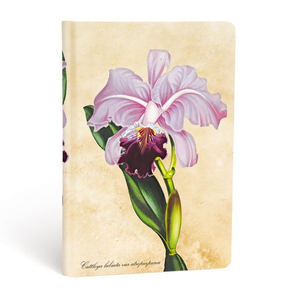 DIARIO NOTES ORCHIDEA BRASILIANA MINI PAPERBLANKS