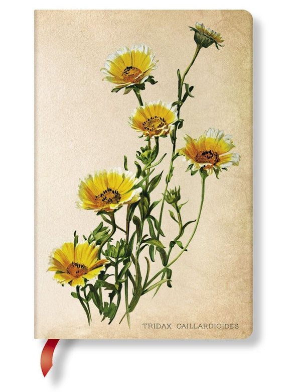DIARIO NOTES MINI WOODLAND DAISIES PAPERBLANKS