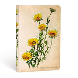 DIARIO NOTES MINI WOODLAND DAISIES PAPERBLANKS
