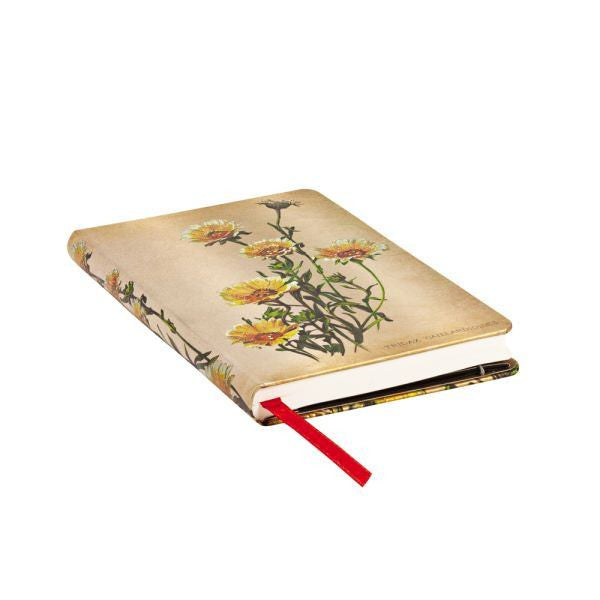 DIARIO NOTES MINI WOODLAND DAISIES PAPERBLANKS Immagine secondaria del prodotto
