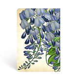 DIARIO NOTES GLICINE IN FIORI MINI PAPERBLANKS