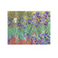 DIARIO PER GLI OSPITI IRIS DI VAN GOGH PAPERBLANKS