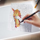 TAVOLO LUMINOSO A LED - FORMATO A4