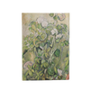 AGENDA MIDI SETTIMANALE ORIZZONTALE 18 MESI 2026/2027 VASI DI TERRACOTTA E FIORI,CEZANNE  PAPERBLANKS