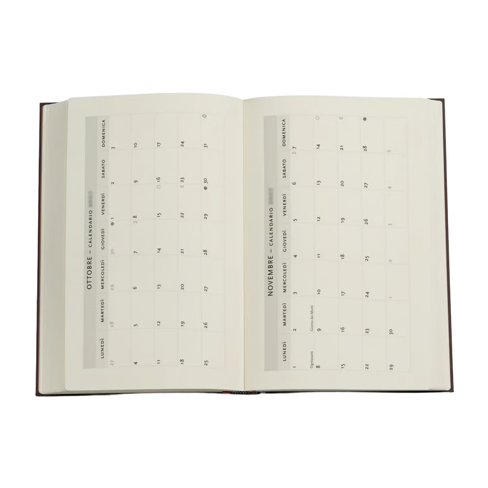 AGENDA MAXI GIORNALIERA 2027 VASI DI TERRACOTTA E FIORI, CEZANNE PAPERBLANKS