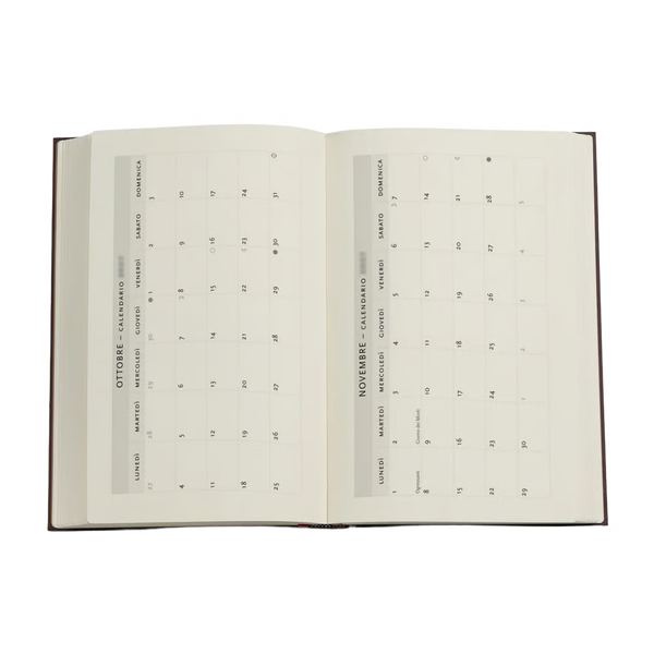 AGENDA MAXI GIORNALIERA 2027 VASI DI TERRACOTTA E FIORI, CEZANNE PAPERBLANKS