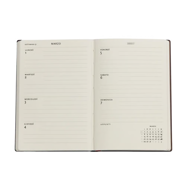 AGENDA MINI SETTIMANALE ORIZZONTALE 2027 MAGIA CELESTE PAPERBLANKS