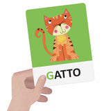 Carte Smerigliate Tattili Montessori