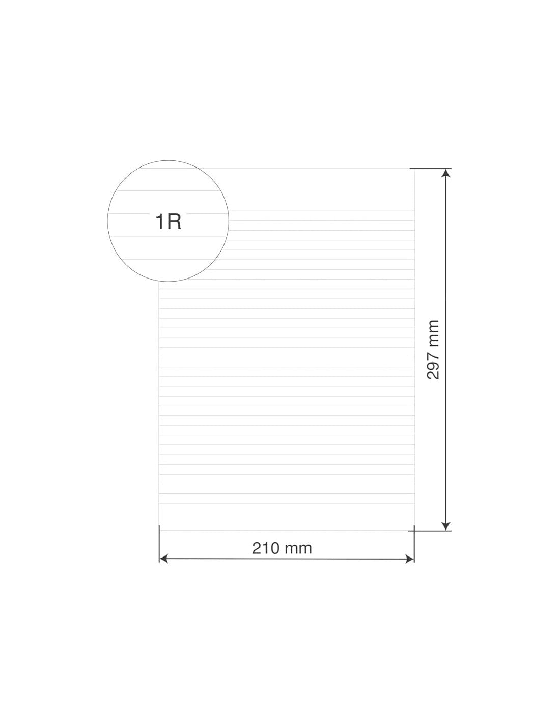 CARTA PROTOCOLLO FG. 200 UN RIGO Immagine secondaria del prodotto