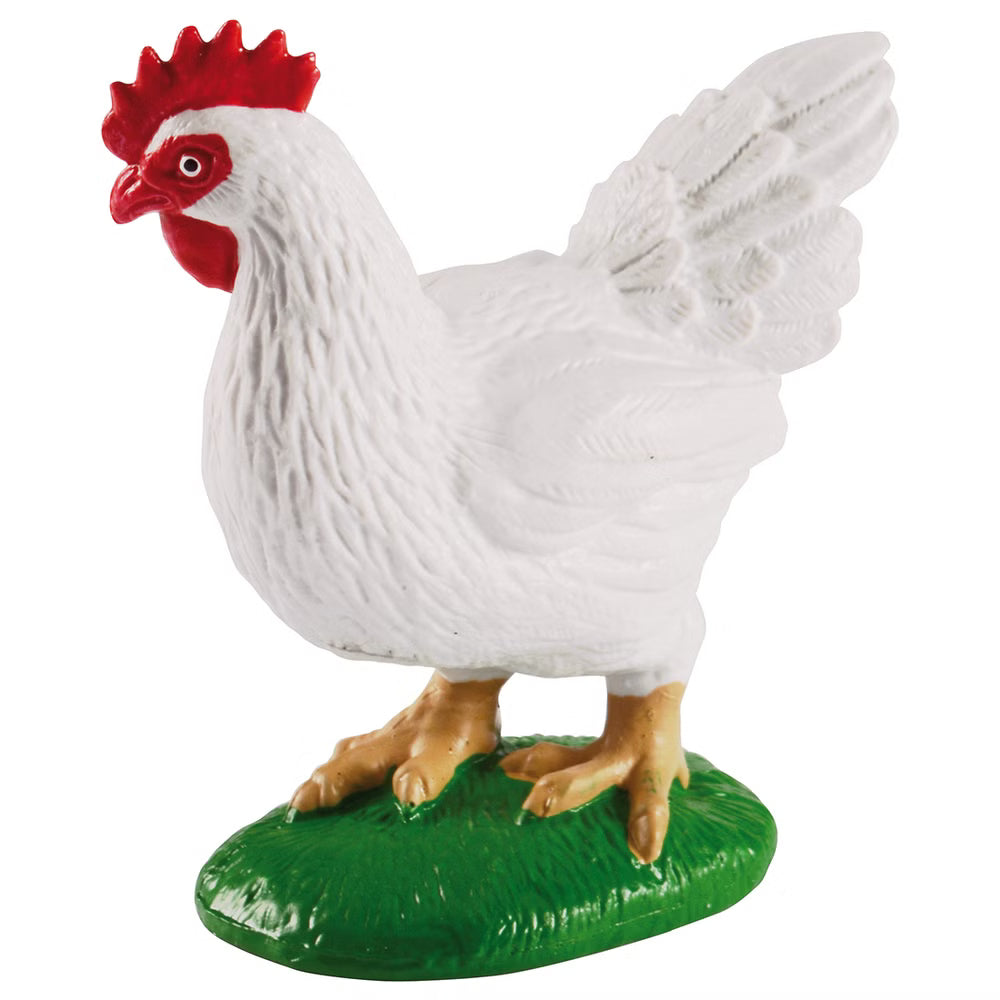 Ciclo Della Vita - Gallina