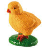 Ciclo Della Vita - Gallina