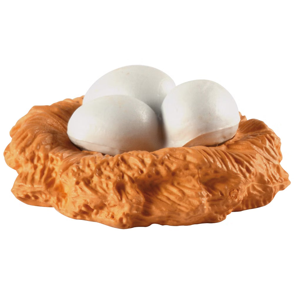 Ciclo Della Vita - Gallina