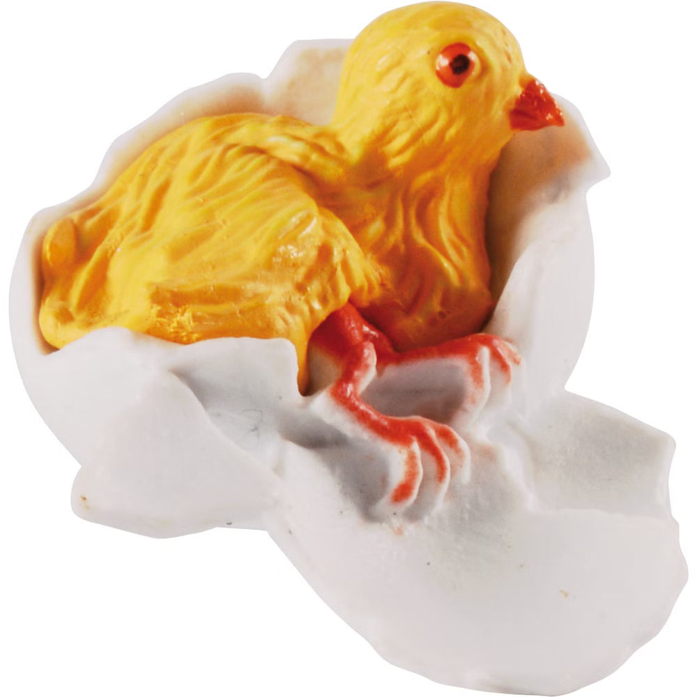 Ciclo Della Vita - Gallina
