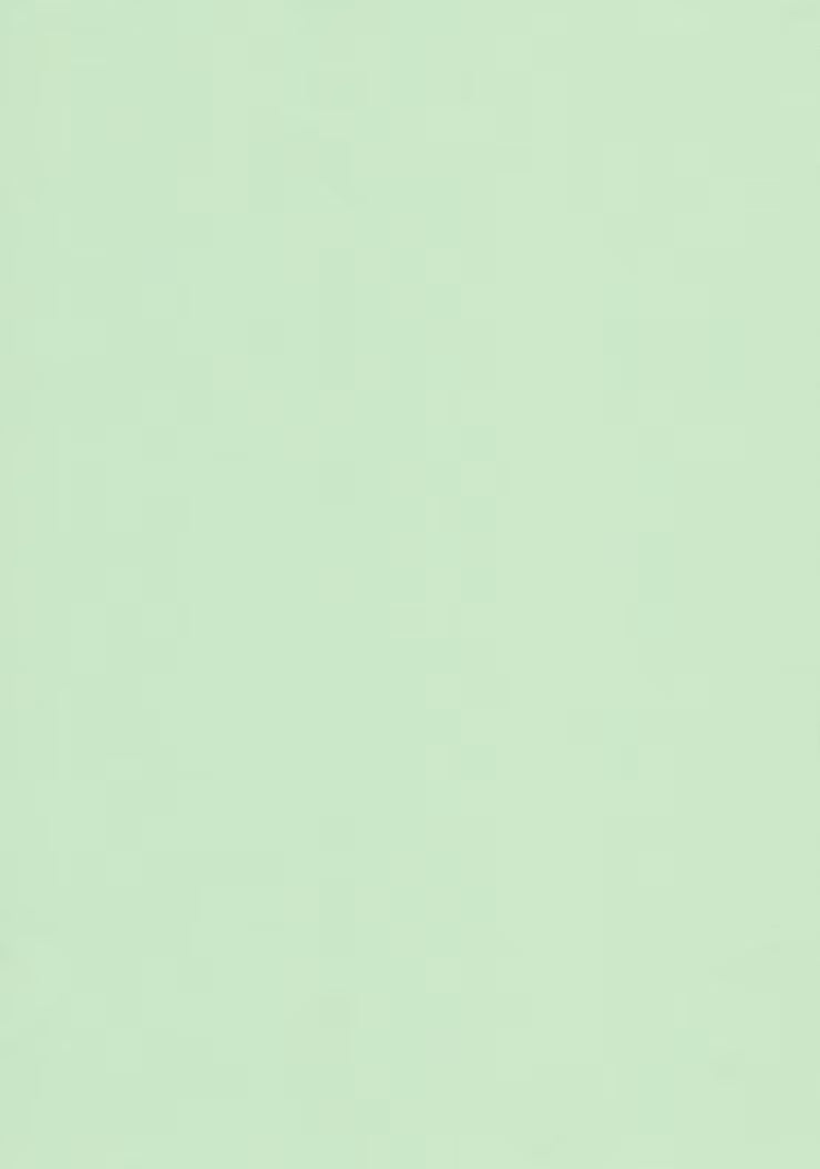 TEKNITAK - CONF.10 FOGLI CM.21X29,7 - VERDE PASTEL Immagine secondaria del prodotto