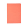 QUADERNO ECOQUA A4 GR.90 1 RIGO FLAMINGO