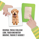 Flashcard Carte Smerigliate Tattili Montessori