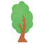 Grande Albero In Legno