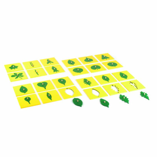 INCASTRI DELLE FORME DELLE FOGLIE(COFANET. NON INCLUSO)