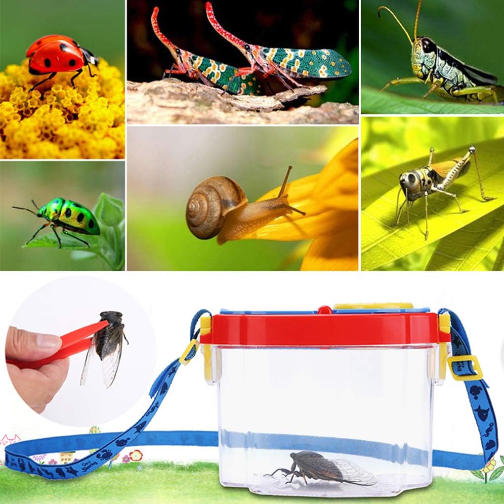 Lente Bug Viewer Esploratore - Con Tracolla