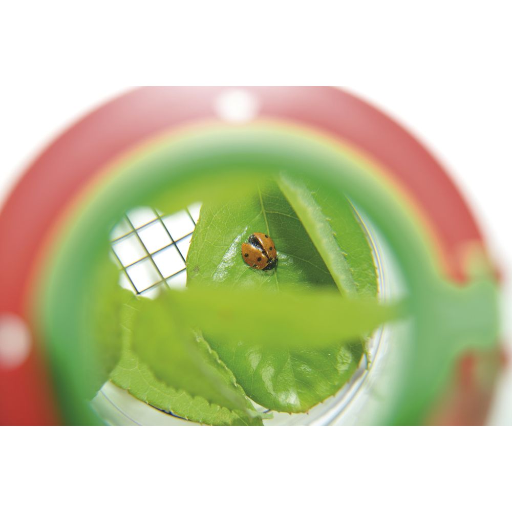 Lente Didattica Con Contenitore