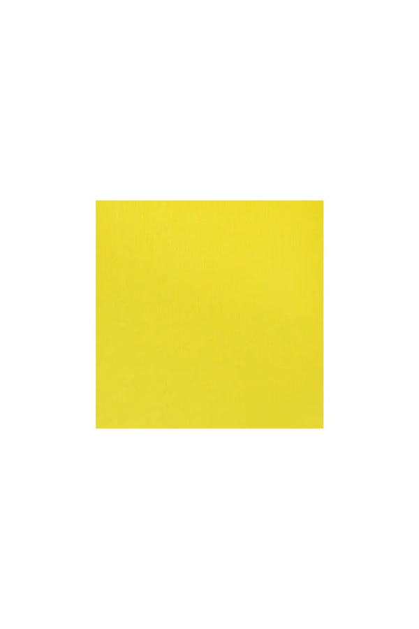 QUADERNO C/SPIRALE A4 ECOQUA QUADRETT. 0.5MM LIMONE